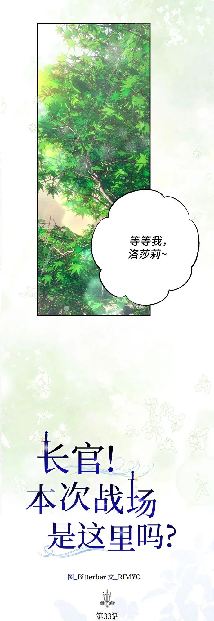 《长官!本次战场是这里吗?》第33话 第12页