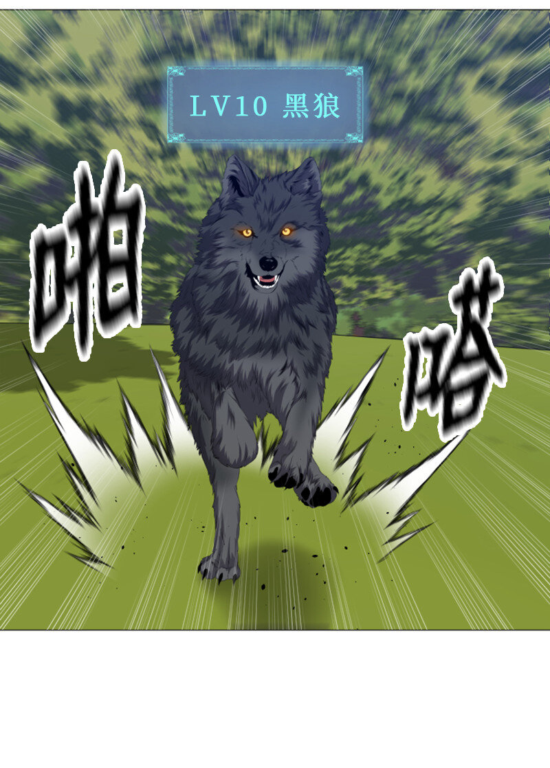 《升级才是王道》6 杀狼 第41页