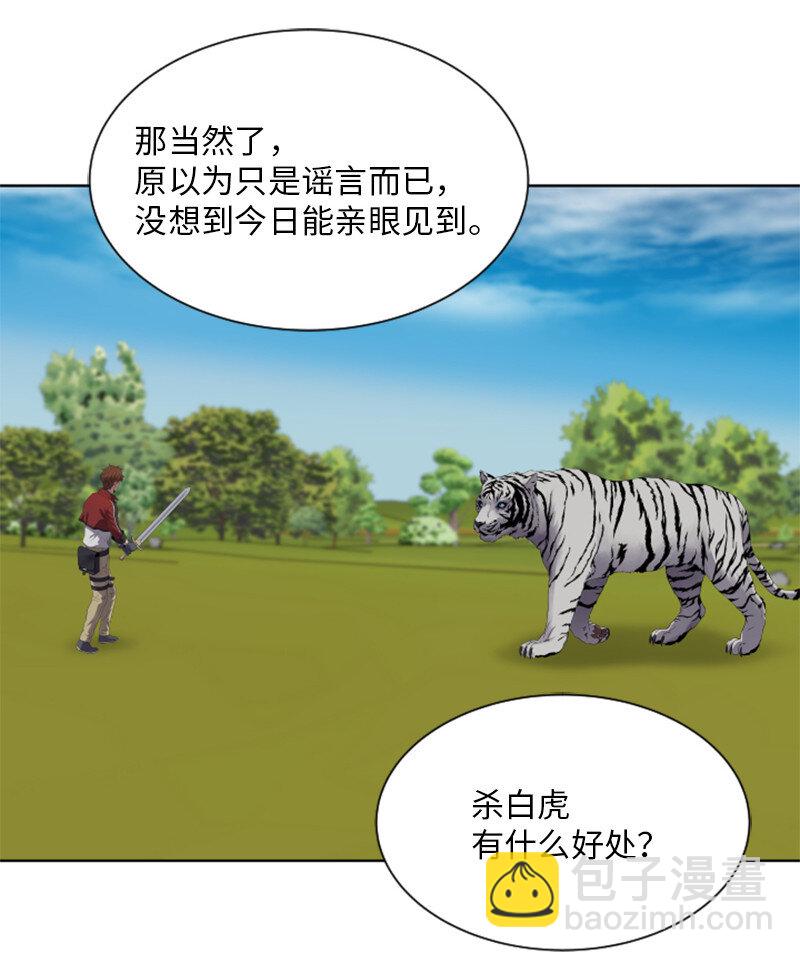 《升级才是王道》10 猎杀白虎 第13页