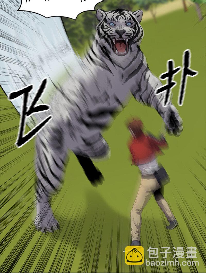 《升级才是王道》10 猎杀白虎 第26页