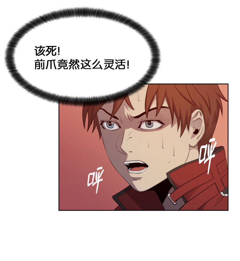 《升级才是王道》10 猎杀白虎 第29页