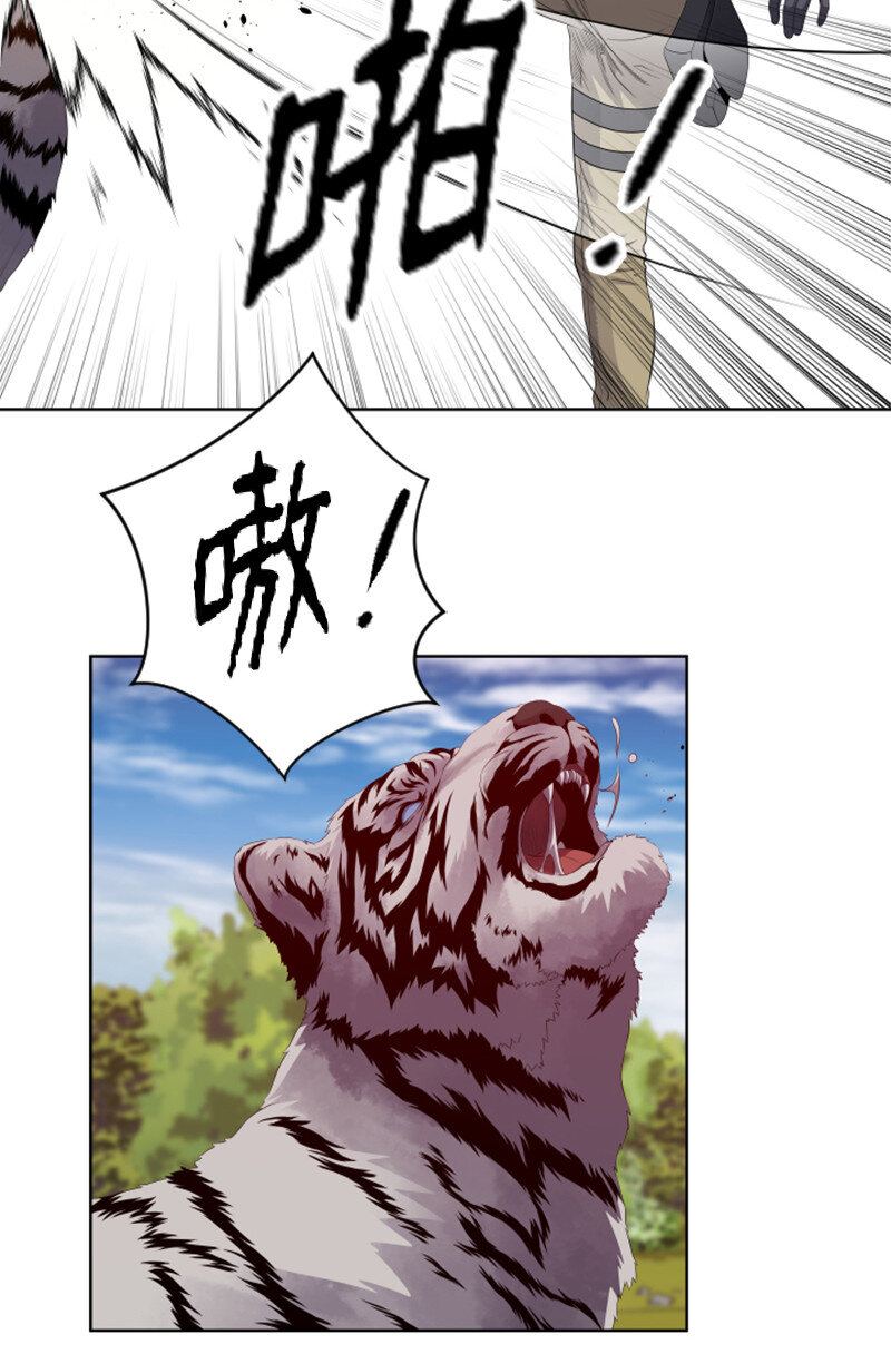 《升级才是王道》10 猎杀白虎 第31页