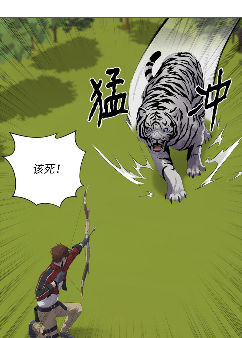 《升级才是王道》10 猎杀白虎 第34页