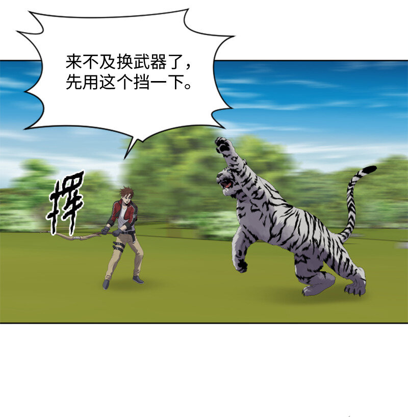 《升级才是王道》10 猎杀白虎 第45页