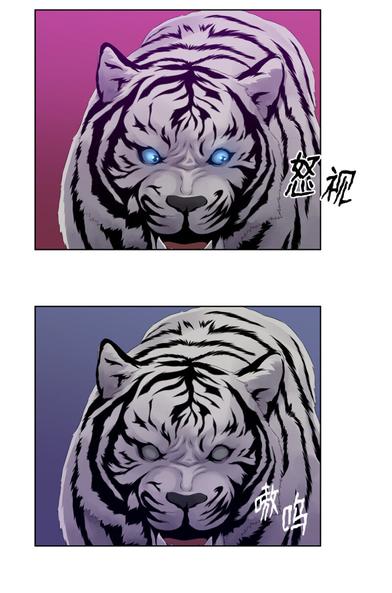 《升级才是王道》10 猎杀白虎 第49页