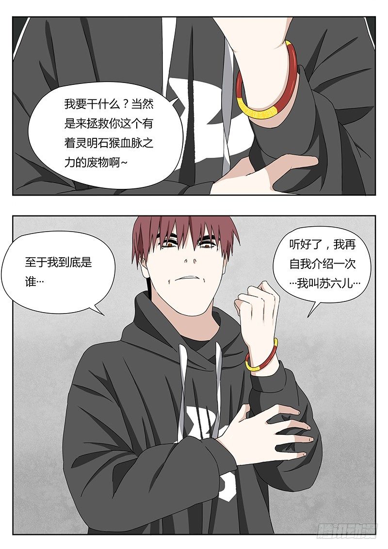 《血脉溯源》灵明石猴 第10页