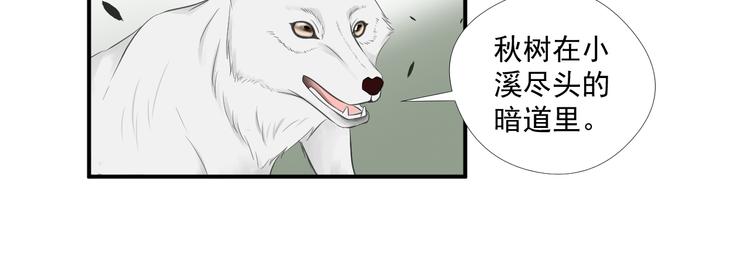 《相思树流年度》第30话 真假秋树 第30页