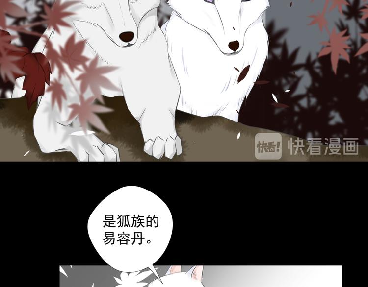 《相思树流年度》第30话 真假秋树 第42页