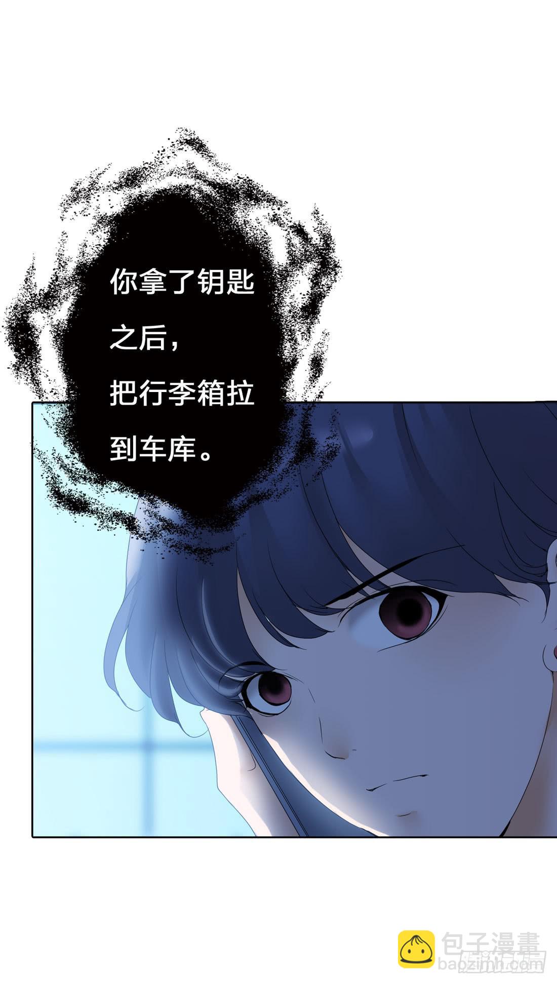 《被禁止的身份》行李箱 第13页