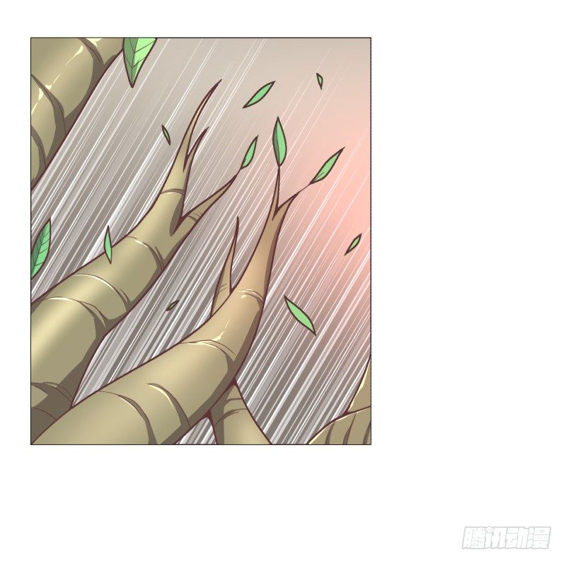 《绝世奶霸》德鲁伊 第41页