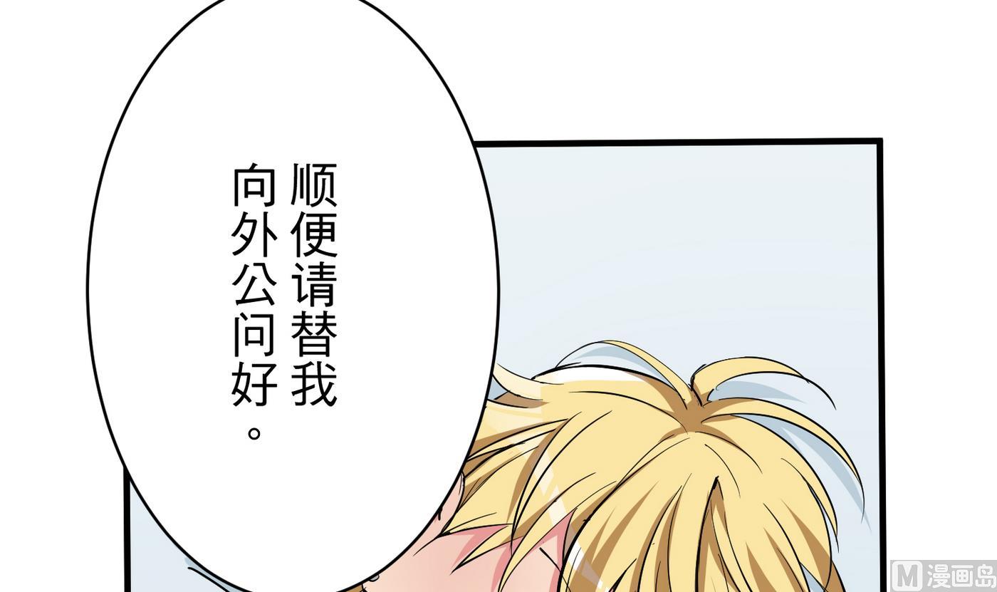 《蔷薇恋语》第18话 乐颜 第30页