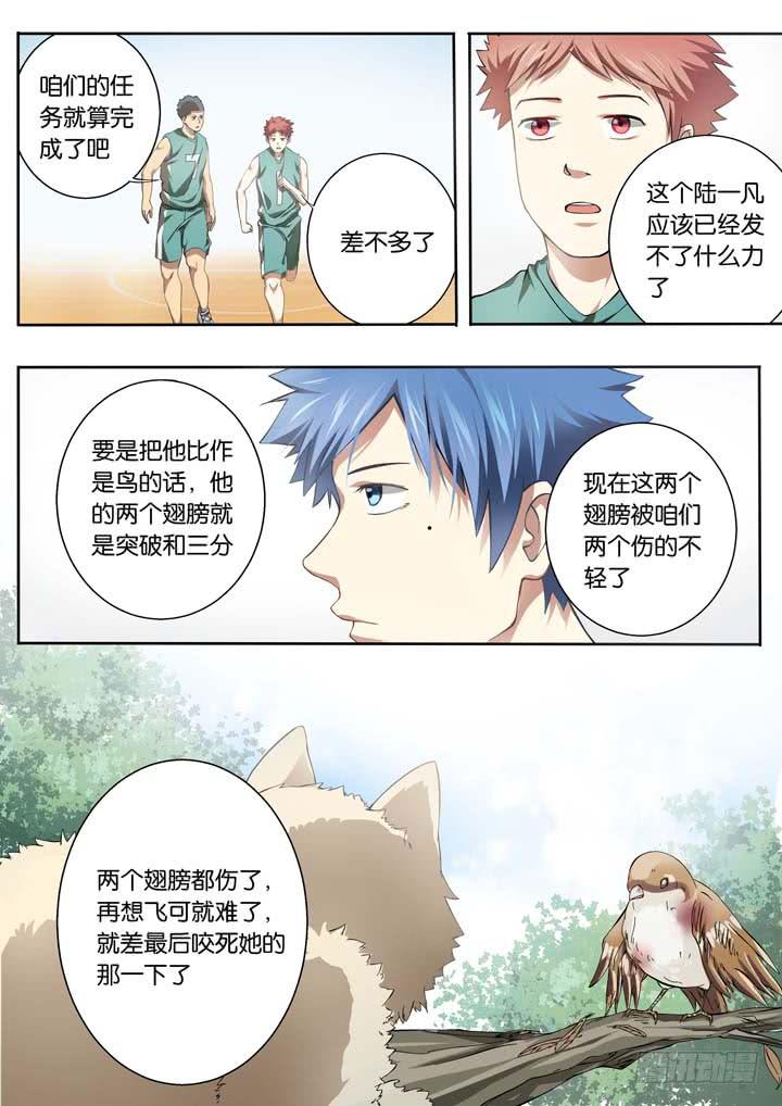 《应声入网大学篇》第二十四球两个翅膀 第15页