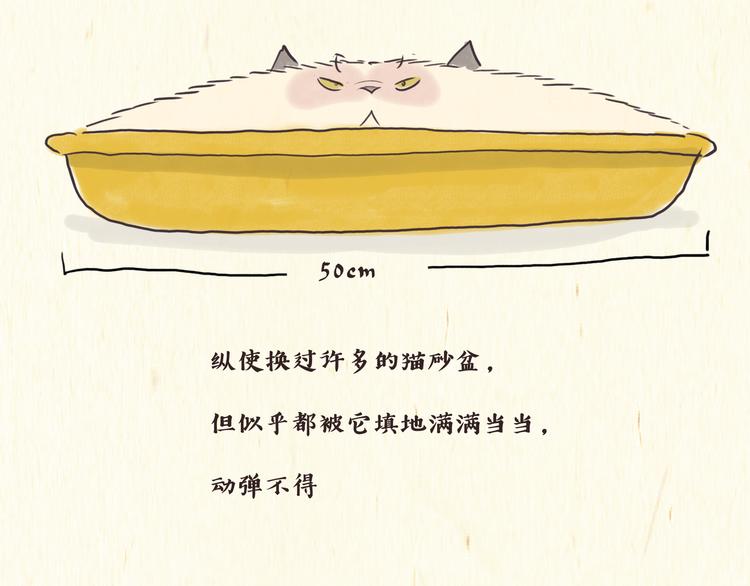 《一滩猫与一根猫》烦恼 第11页