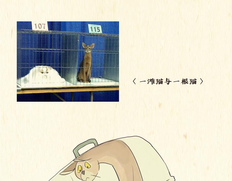 《一滩猫与一根猫》烦恼 第1页