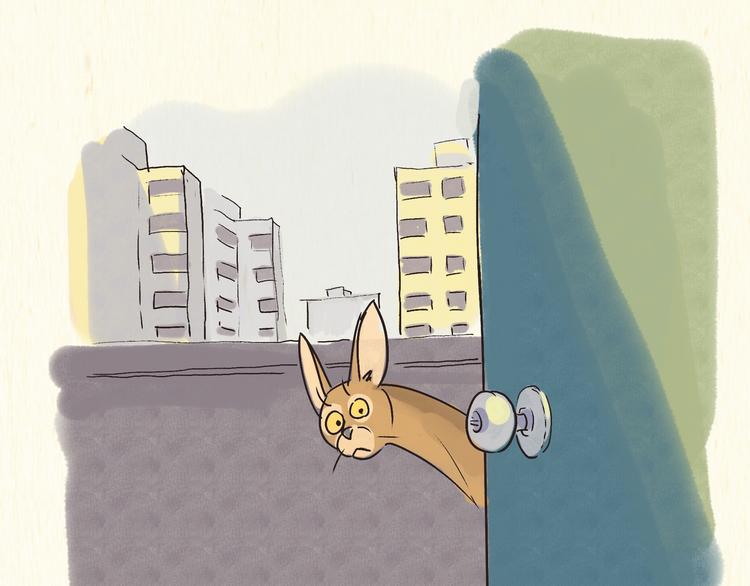 《一滩猫与一根猫》烦恼 第20页