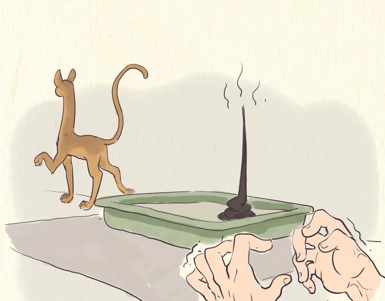 《一滩猫与一根猫》烦恼 第3页