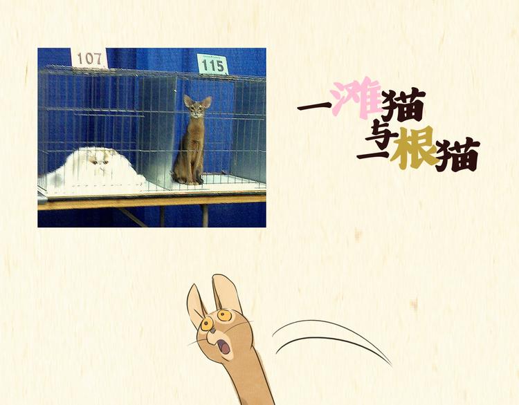 《一滩猫与一根猫》熊孩子 第1页
