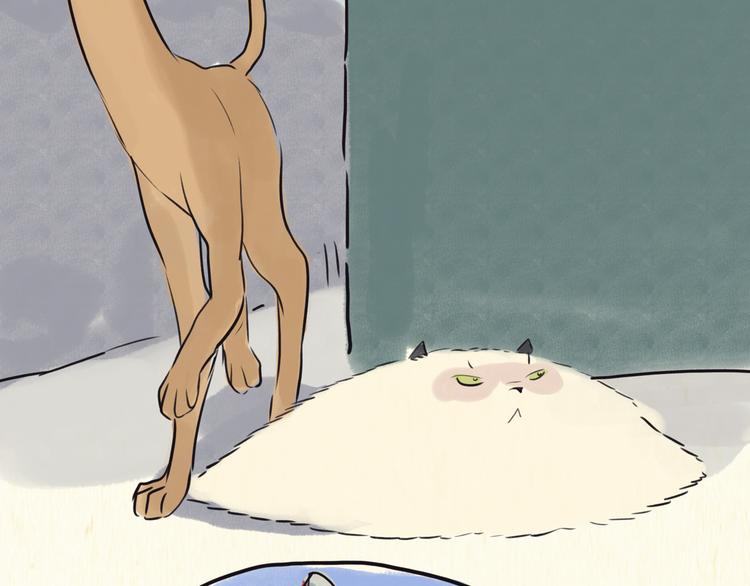 《一滩猫与一根猫》怪梦 第19页