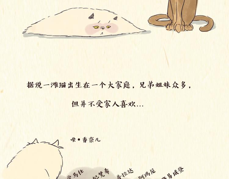 《一滩猫与一根猫》出逃，过往 第11页