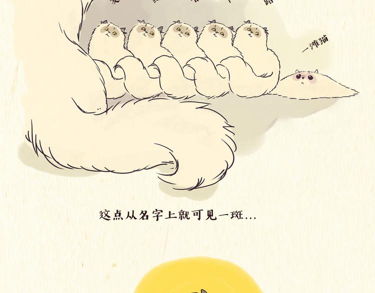 《一滩猫与一根猫》出逃，过往 第12页
