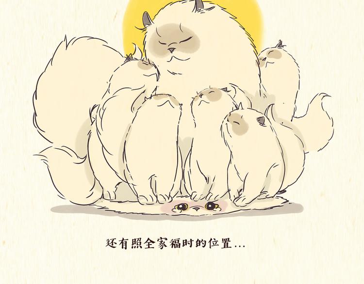《一滩猫与一根猫》出逃，过往 第13页
