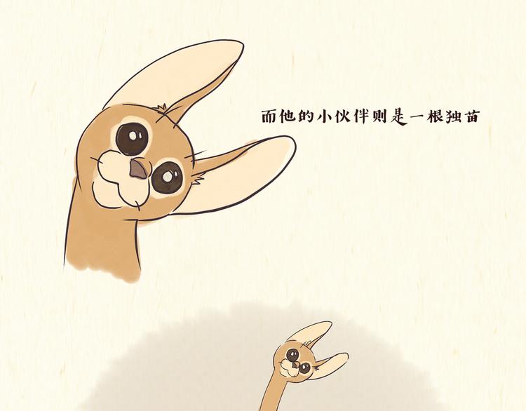《一滩猫与一根猫》出逃，过往 第15页