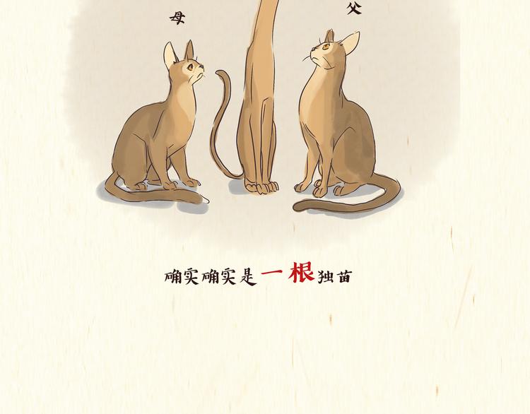 《一滩猫与一根猫》出逃，过往 第16页