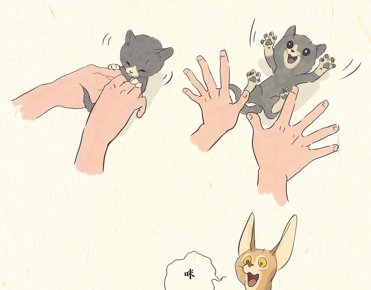 《一滩猫与一根猫》出逃，过往 第17页