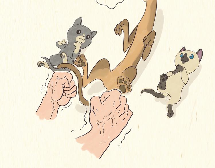 《一滩猫与一根猫》出逃，过往 第18页