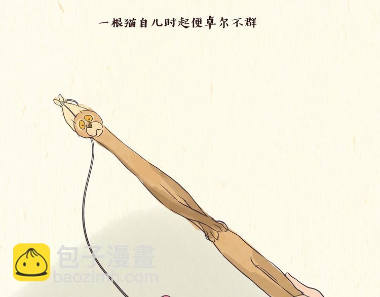 《一滩猫与一根猫》出逃，过往 第19页