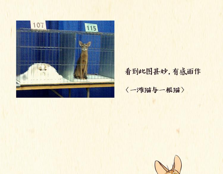 《一滩猫与一根猫》出逃，过往 第1页
