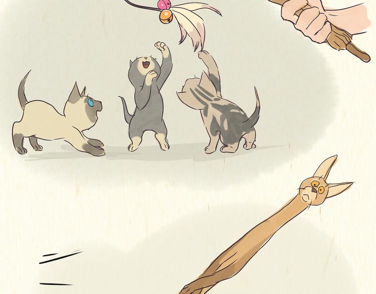 《一滩猫与一根猫》出逃，过往 第20页