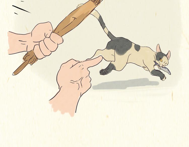《一滩猫与一根猫》出逃，过往 第21页