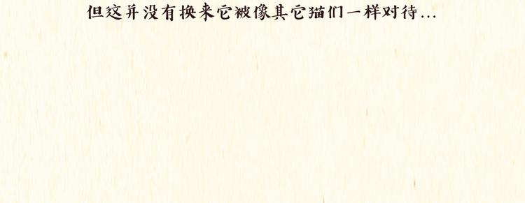 《一滩猫与一根猫》出逃，过往 第22页