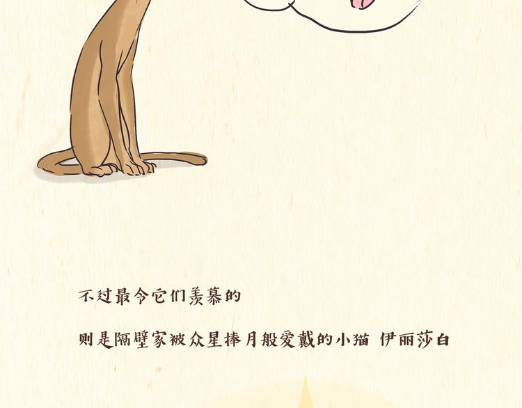 《一滩猫与一根猫》出逃，过往 第25页