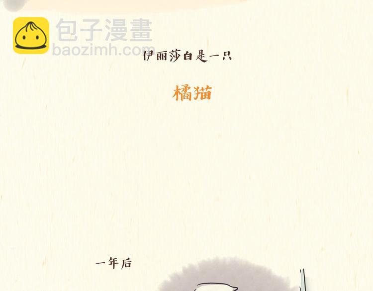 《一滩猫与一根猫》出逃，过往 第28页