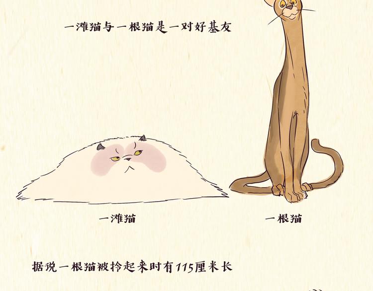 《一滩猫与一根猫》出逃，过往 第2页
