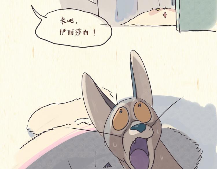 《一滩猫与一根猫》出逃，过往 第30页