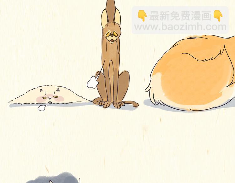 《一滩猫与一根猫》出逃，过往 第32页