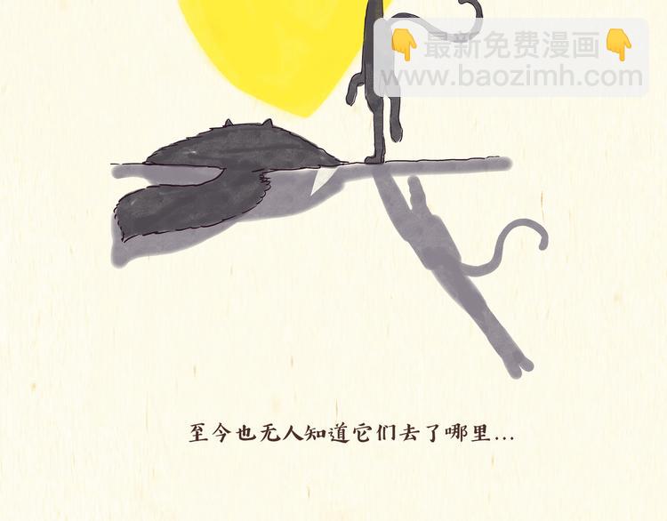 《一滩猫与一根猫》出逃，过往 第38页
