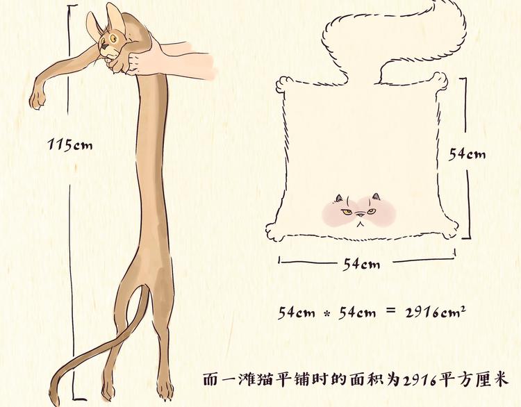 《一滩猫与一根猫》出逃，过往 第3页