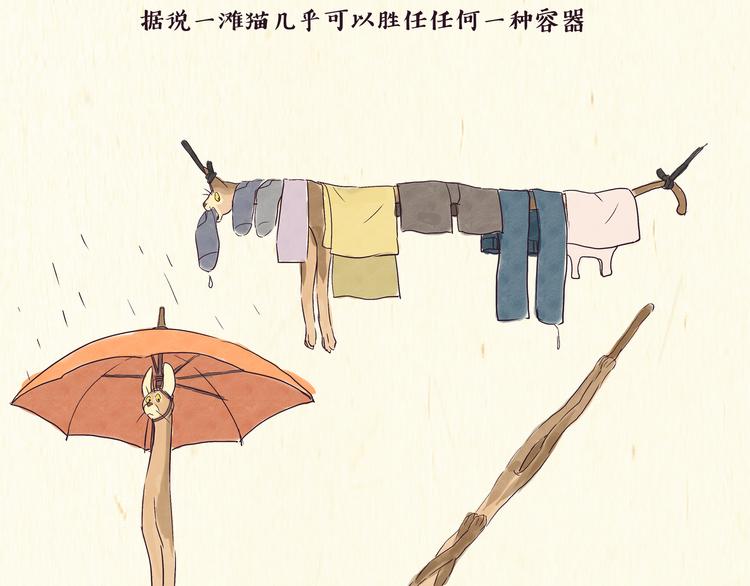 《一滩猫与一根猫》出逃，过往 第5页