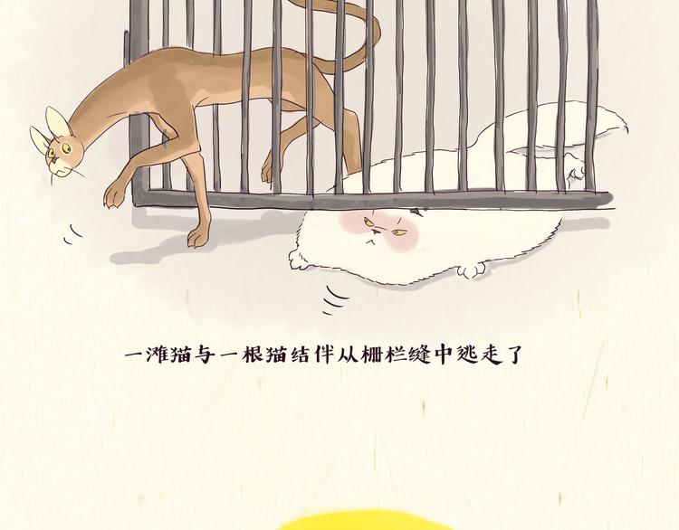 《一滩猫与一根猫》出逃，过往 第7页