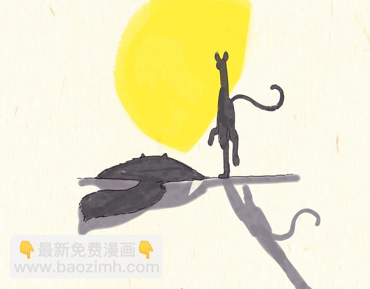 《一滩猫与一根猫》出逃，过往 第8页