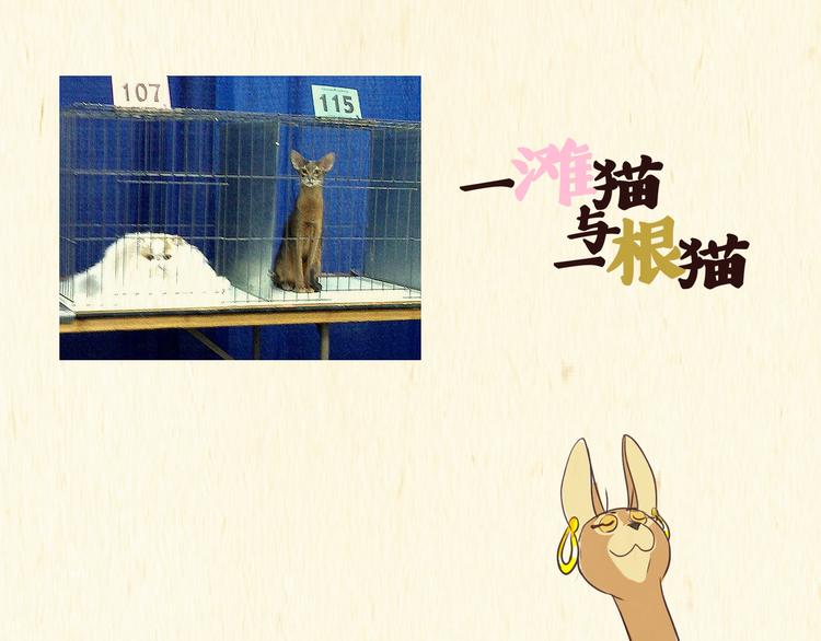 《一滩猫与一根猫》木乃伊 第1页