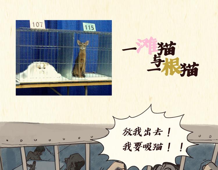 《一滩猫与一根猫》戒猫 第1页