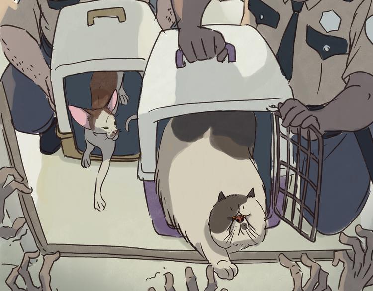 《一滩猫与一根猫》戒猫 第7页