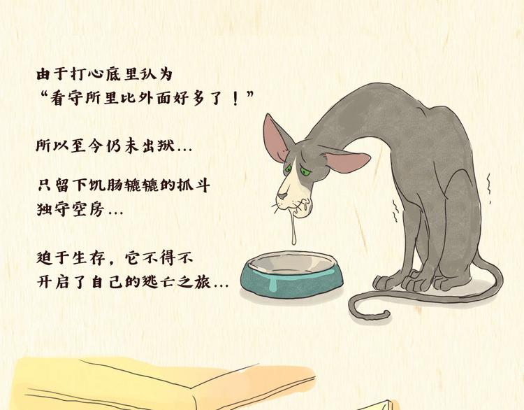 《一滩猫与一根猫》铲屎官 第14页