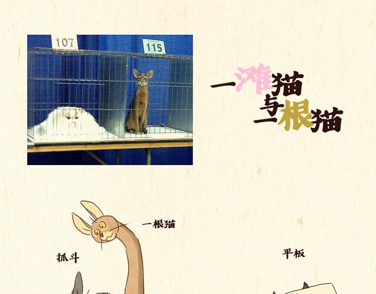 《一滩猫与一根猫》铲屎官 第1页
