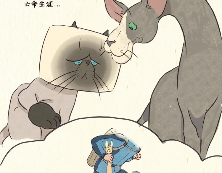 《一滩猫与一根猫》铲屎官 第22页
